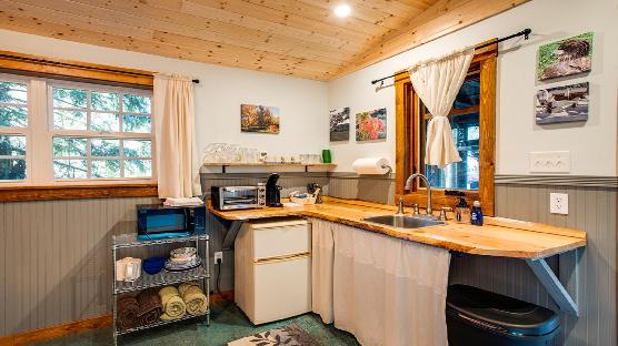 Mt. Baker Lodging Cabin #72 – PET FRIENDY, MT VIEWS, BBQ, SLEEPS 2!