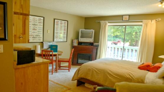 Mt. Baker Lodging Condo #37 – WIFI, ECONOMICAL, CONVENIENT, KITCHENETTE, SLEEPS-2!